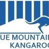 Blue Mountains Kangaroos U12 Div 1 Logo