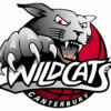 NZ Home Loans Canterbury Wildcats Logo