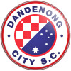 Dandenong U8 Logo