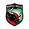Harvey Bulls - Reserves Logo