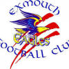 Exmouth Eagles Football Club Logo