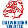 Dalwallinu League Logo