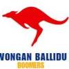 Wongan Ballidu League Logo