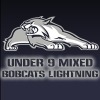 Northern Bobcats Lightning Logo
