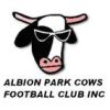 Albion Park Cows 1st Logo