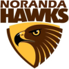 Noranda Y9/11 Girls Logo