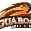 GUAROS DE LARA Logo