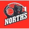 Norths Bears U14 Boys  Logo