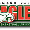 Diamond Valley Eagles U14 Girls Logo