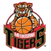 Melbourne Tigers U14 Boys Logo