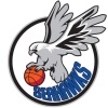 Seahawks Goats Logo
