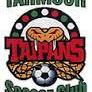 TAHMOOR U16 GIRLS DIV 2 GREEN Logo