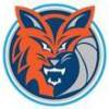 Peninsula Bobcats U/12G Logo