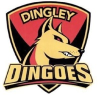 Dingley JFC U10 Yellow