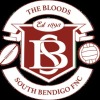 South Bendigo reserves 2 Logo