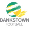 Bankstown Dist. AFA Logo