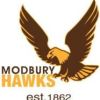 Modbury JFC U10 Brown Logo
