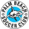 Palm Beach Soccer Club Logo