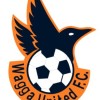 Wagga United Pascoe Logo