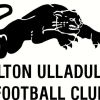 Milton Panthers White Logo