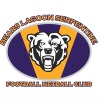 Bears Lagoon Serpentine Logo