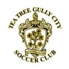 Tea Tree Gully Purple Logo