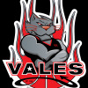 Vales (M) Buckets Logo