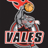 Vales G16 Wildcats Logo