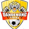 Dandenong Tigers  Logo