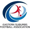Heffron Hawks FC - Eastern Suburbs Logo