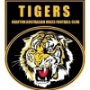 2015 Grafton Tigers Juniors U13s Logo