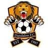 Dandaloo 1st Logo