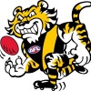 Tigers U16 Logo