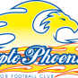 Dapto Phoenix Yellow M3 Logo