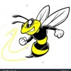 Oak Flats Bumble Bees D3 Logo
