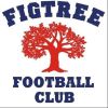 Figtree Titans Logo