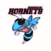 Horsham Hornets Logo
