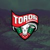 TOROS DE CHIRIQUI Logo