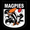 Port Macquarie Flyers Logo