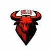 Bulls Logo