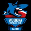 Woonona 18-1 Logo