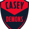 Casey Demons Logo
