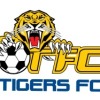 Tigers FC 20 Logo