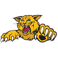 Withcott Tigers