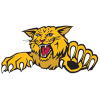Withcott Mountain Lions Logo