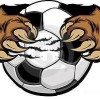 Gundaroo Bullocks FC Logo