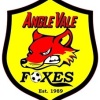 Angle Vale Div 5 Logo