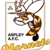 Aspley Hornets AFC Logo