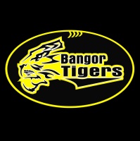Bangor Tigers U14-2