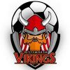 Pittsworth Vikings Logo